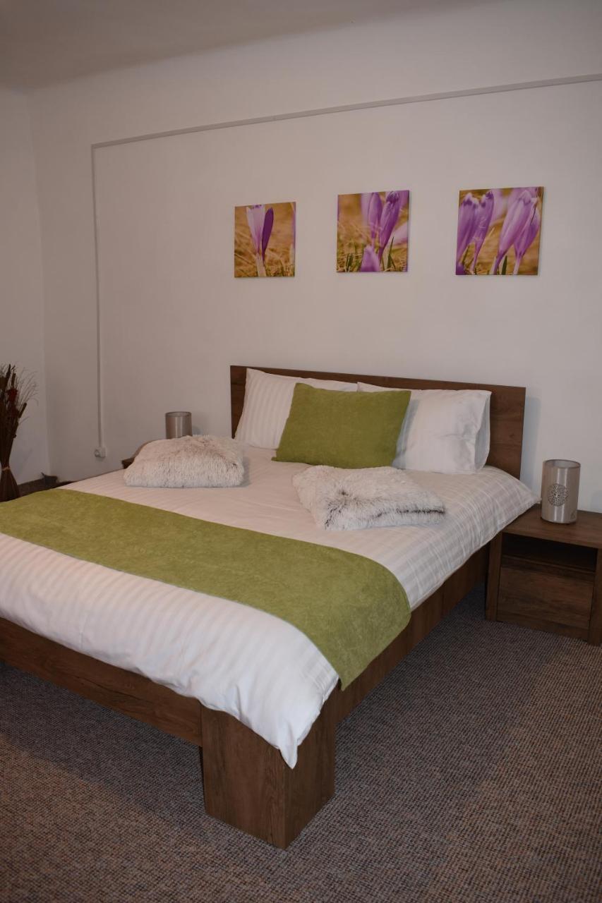 Apartament Zimbru 克卢日-纳波卡 外观 照片