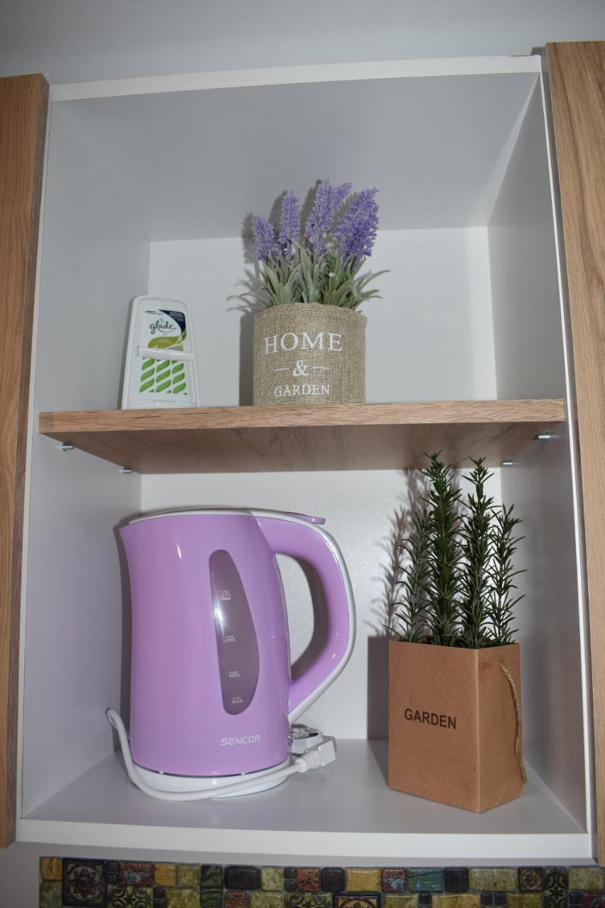 Apartament Zimbru 克卢日-纳波卡 外观 照片